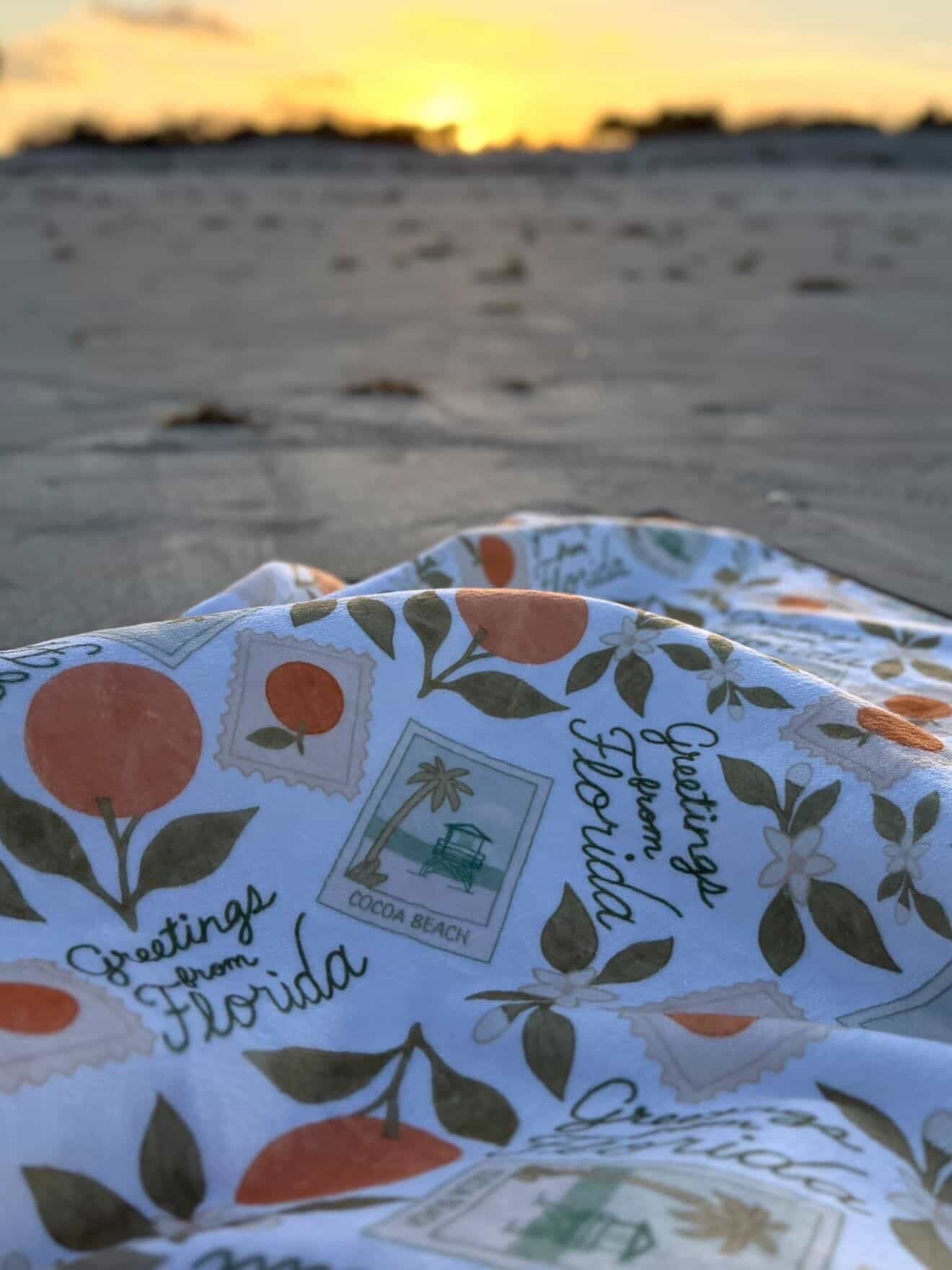 Vintage Florida Picnic/Play Mat