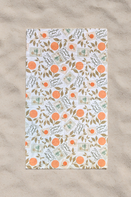 Vintage Florida Towel