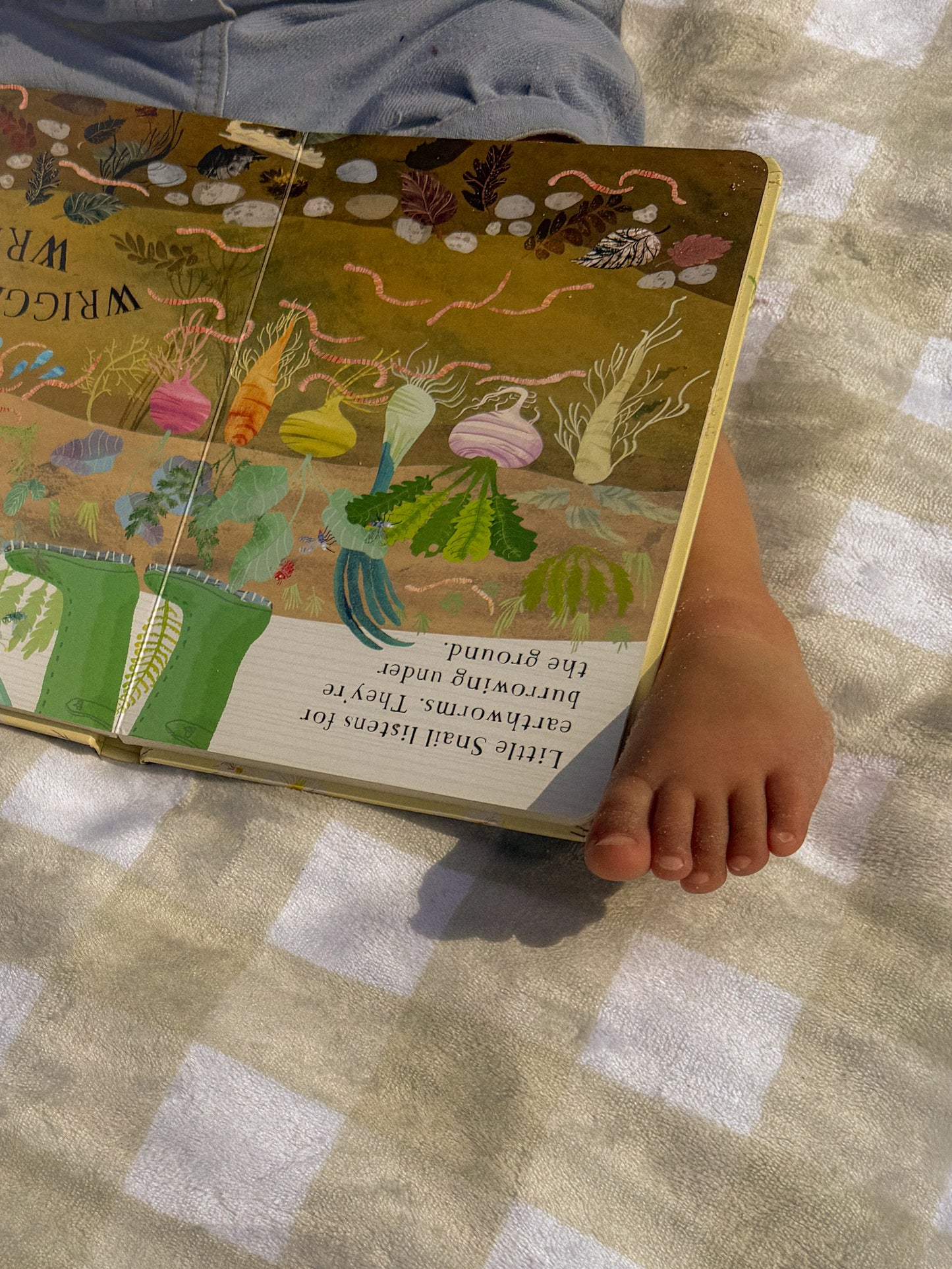 Gingham Picnic/ Play Mat