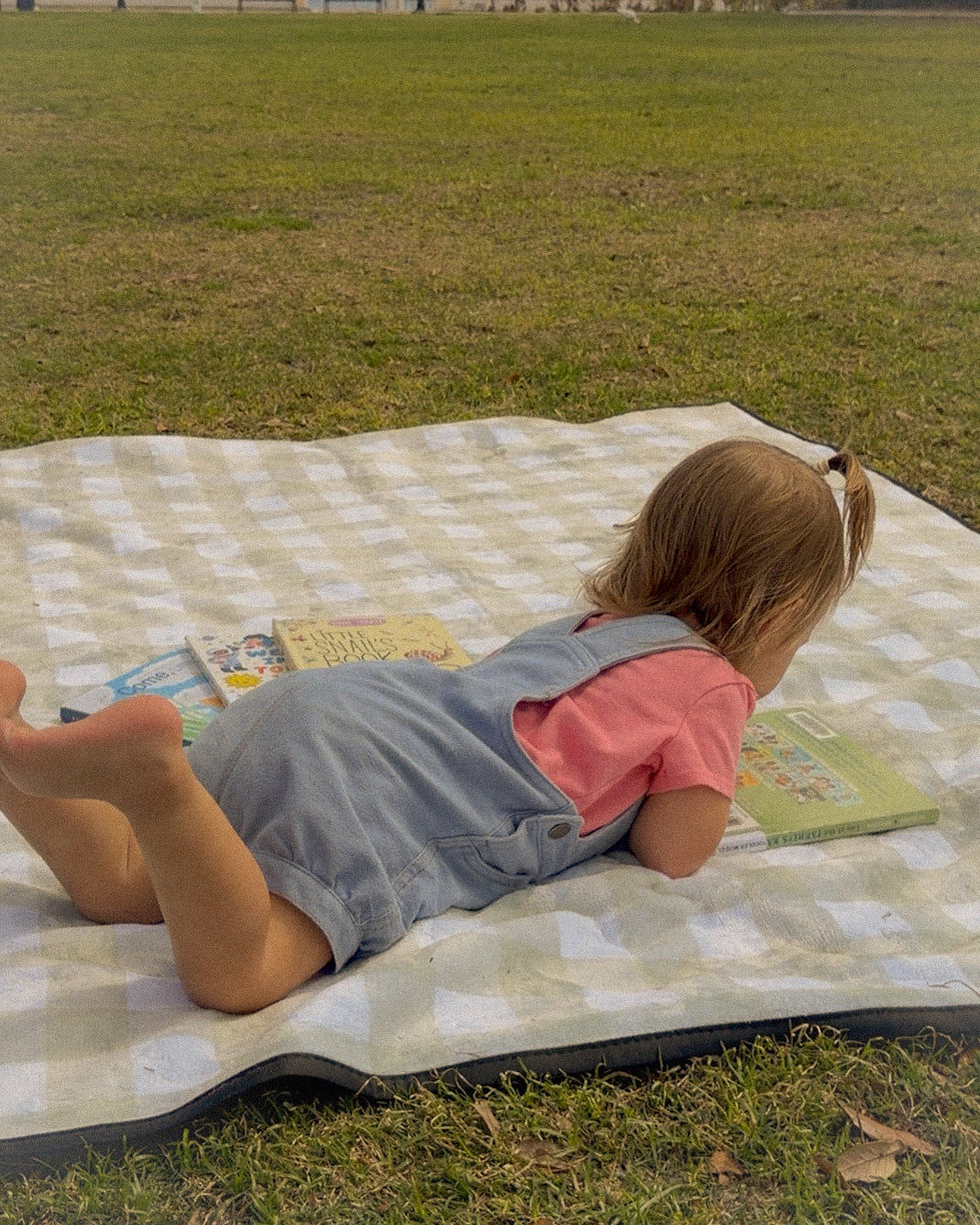 Gingham Picnic/ Play Mat