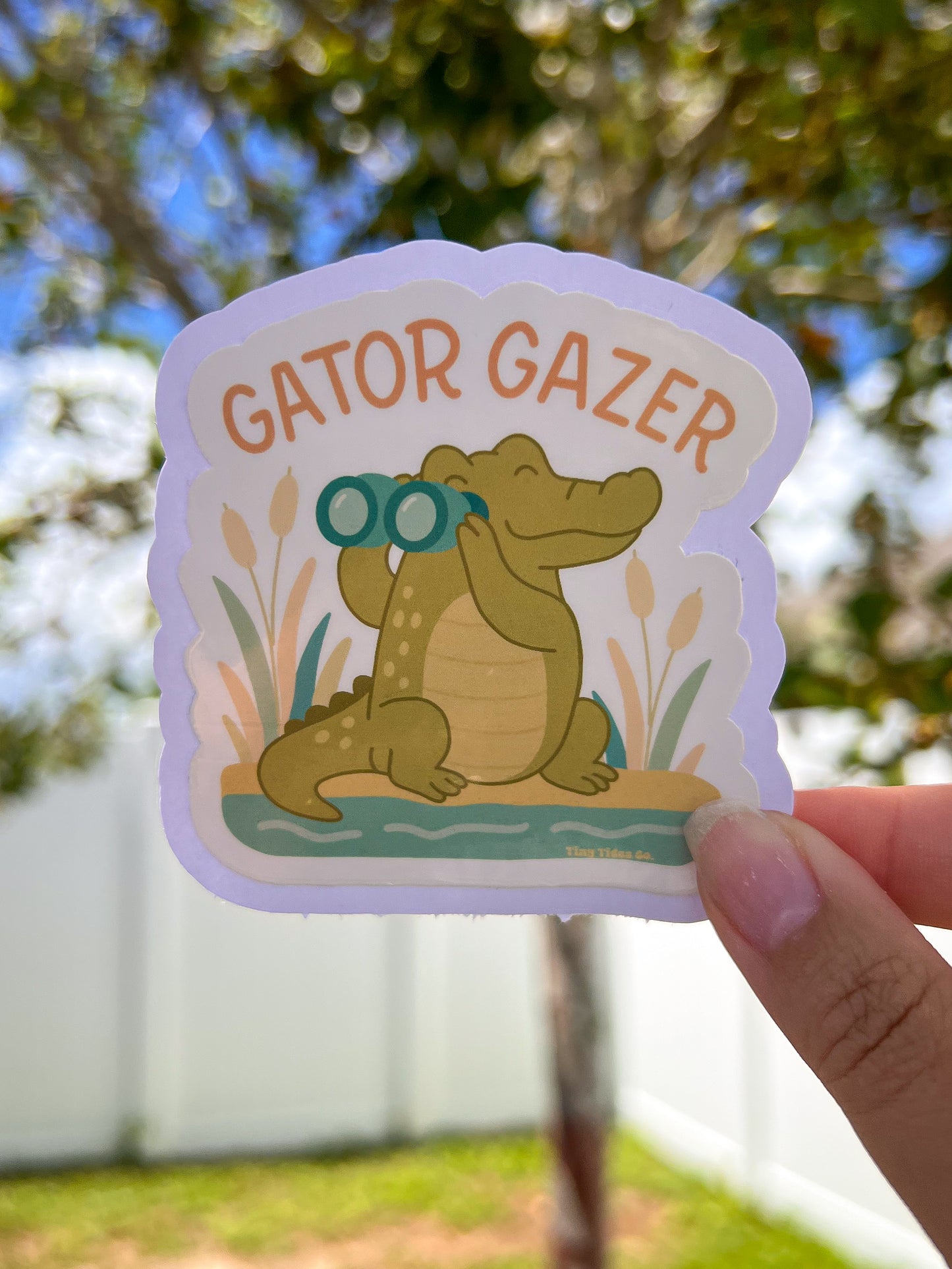 Gator Gazer Sticker